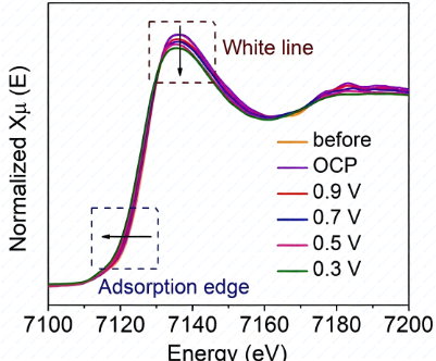 In-situ synchrotron radiation XAFS